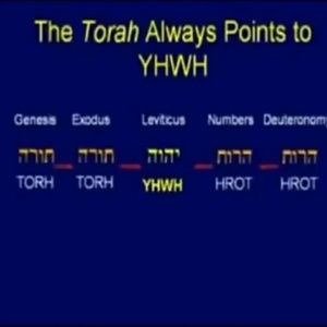 Meet your Posher, Adrian